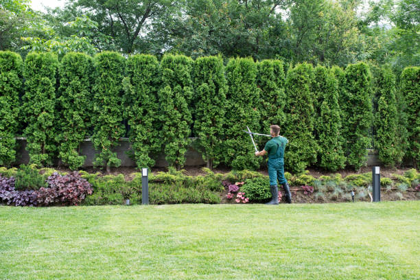 Best Lawn Pest Prevention  in Pearl River, NY